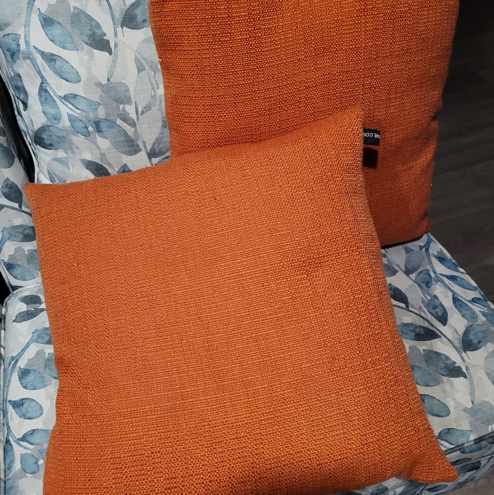 Down Filled Pillows (2 pack)